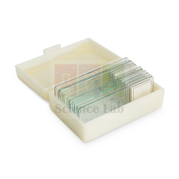 Student-Grade Microscope Slides